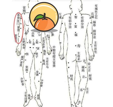 手臂有痣|痣的位置透露出這些訊息！上手臂有痣不乏追求者、手。